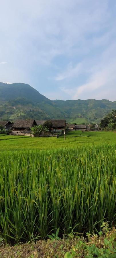 Organic Farm Homestay Sapa Bagian luar foto