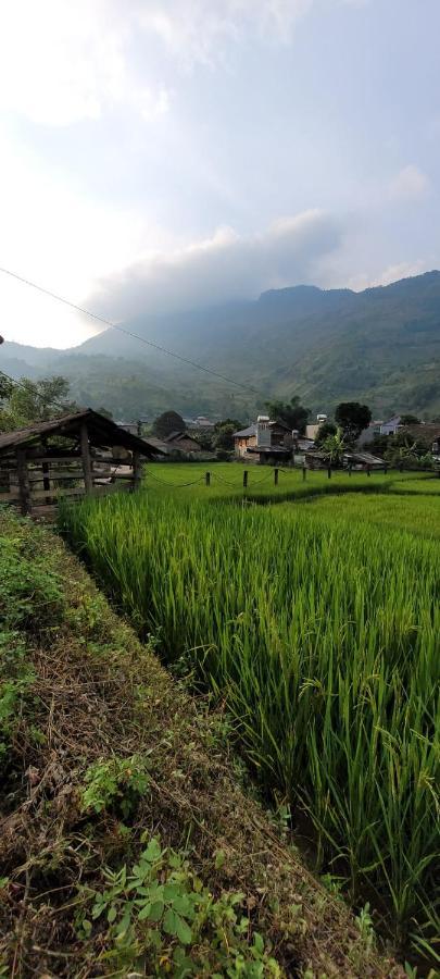 Organic Farm Homestay Sapa Bagian luar foto