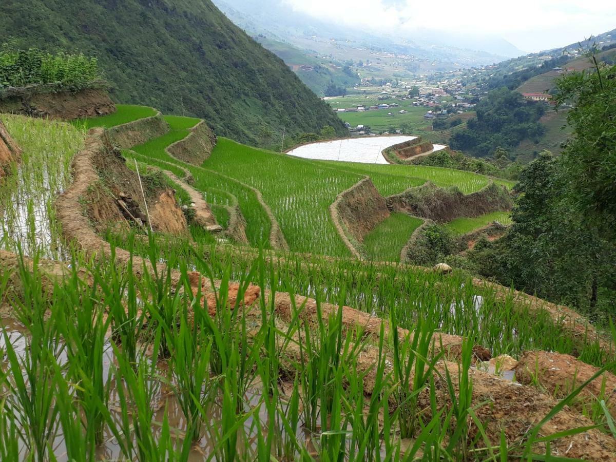 Organic Farm Homestay Sapa Bagian luar foto