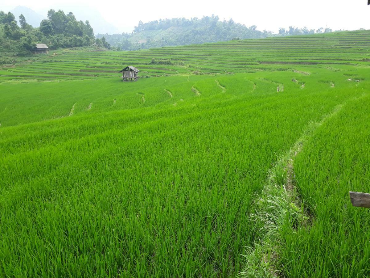 Organic Farm Homestay Sapa Bagian luar foto